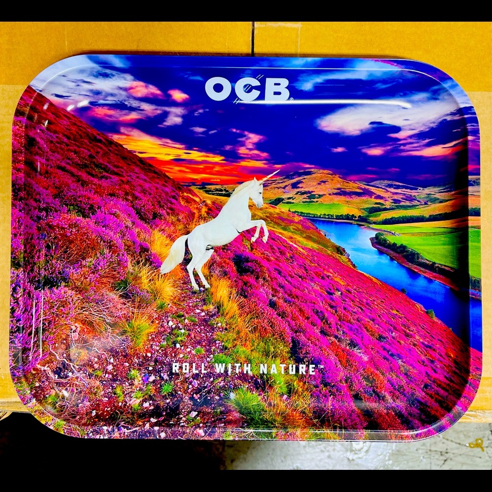Metal Tray